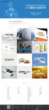 西安最专业企业信息化建设网络公司——策泉策划与硅峰网络