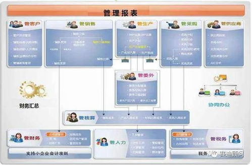 破局与前瞻 赛迪解析中国集团企业管理软件市场新趋势与开发管理之道